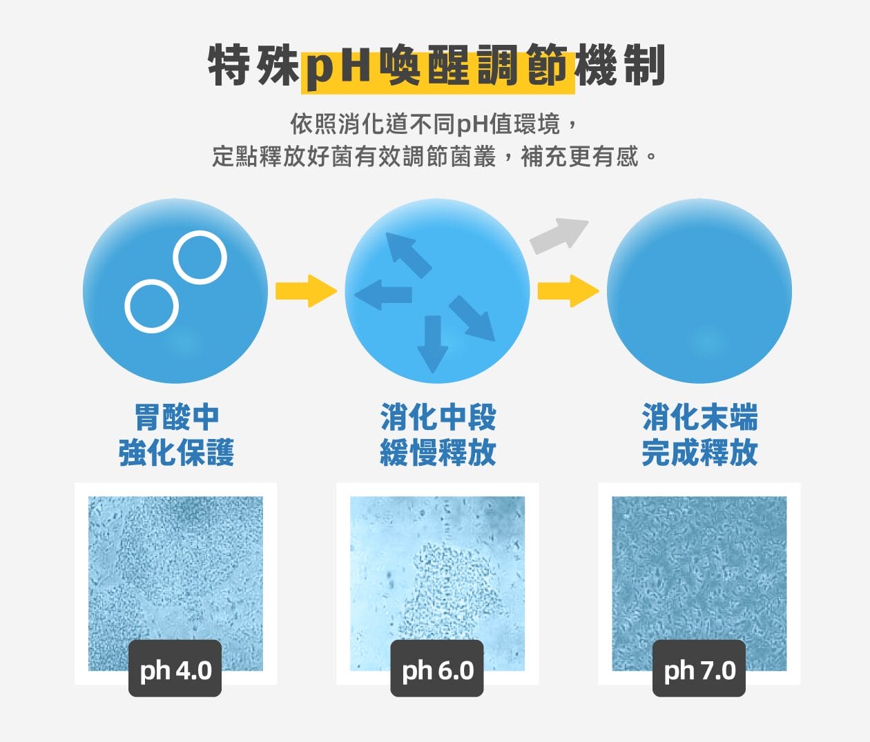 發酵梅子精華提升營養價值