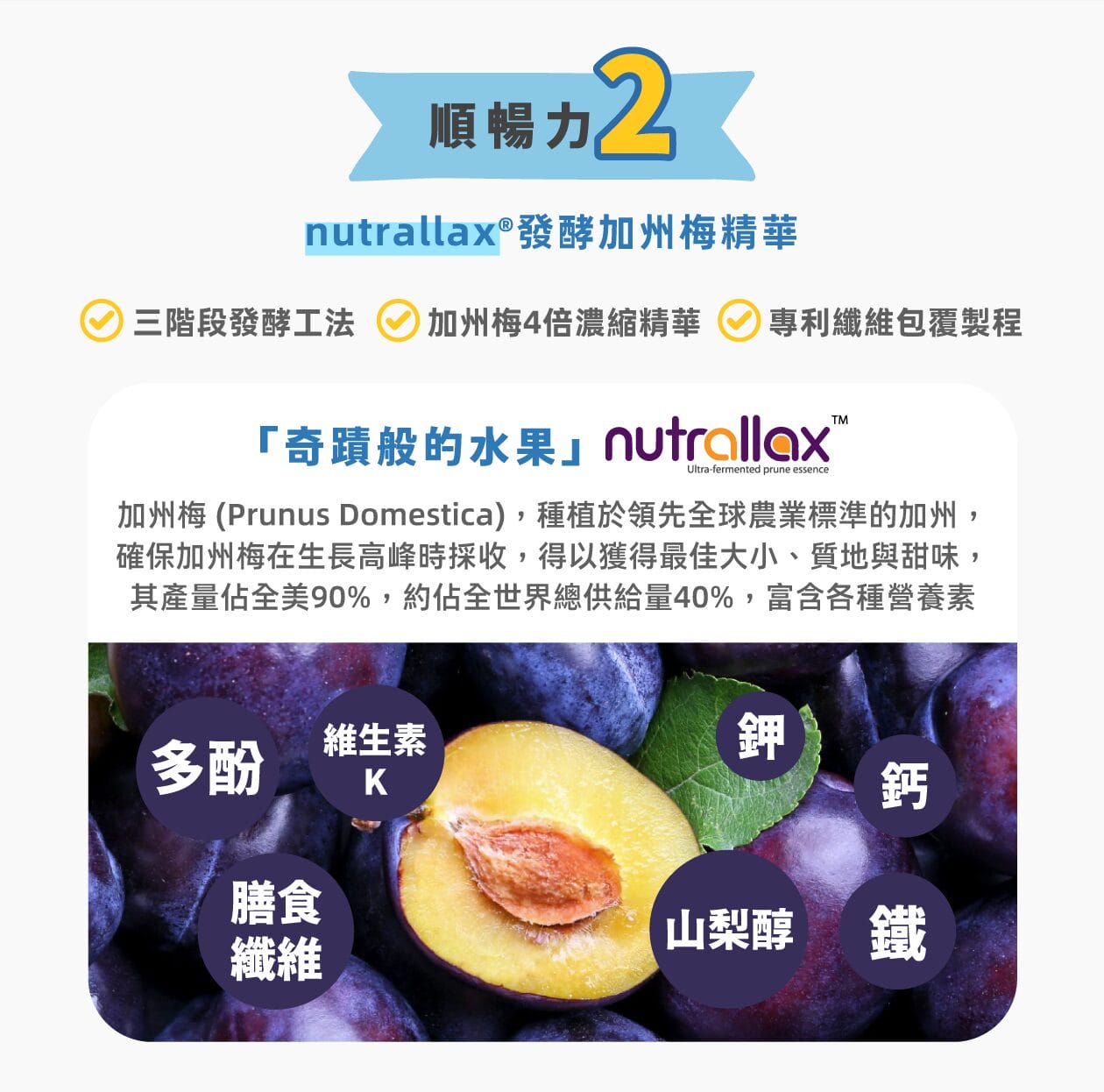 菊苣纖維促進消化