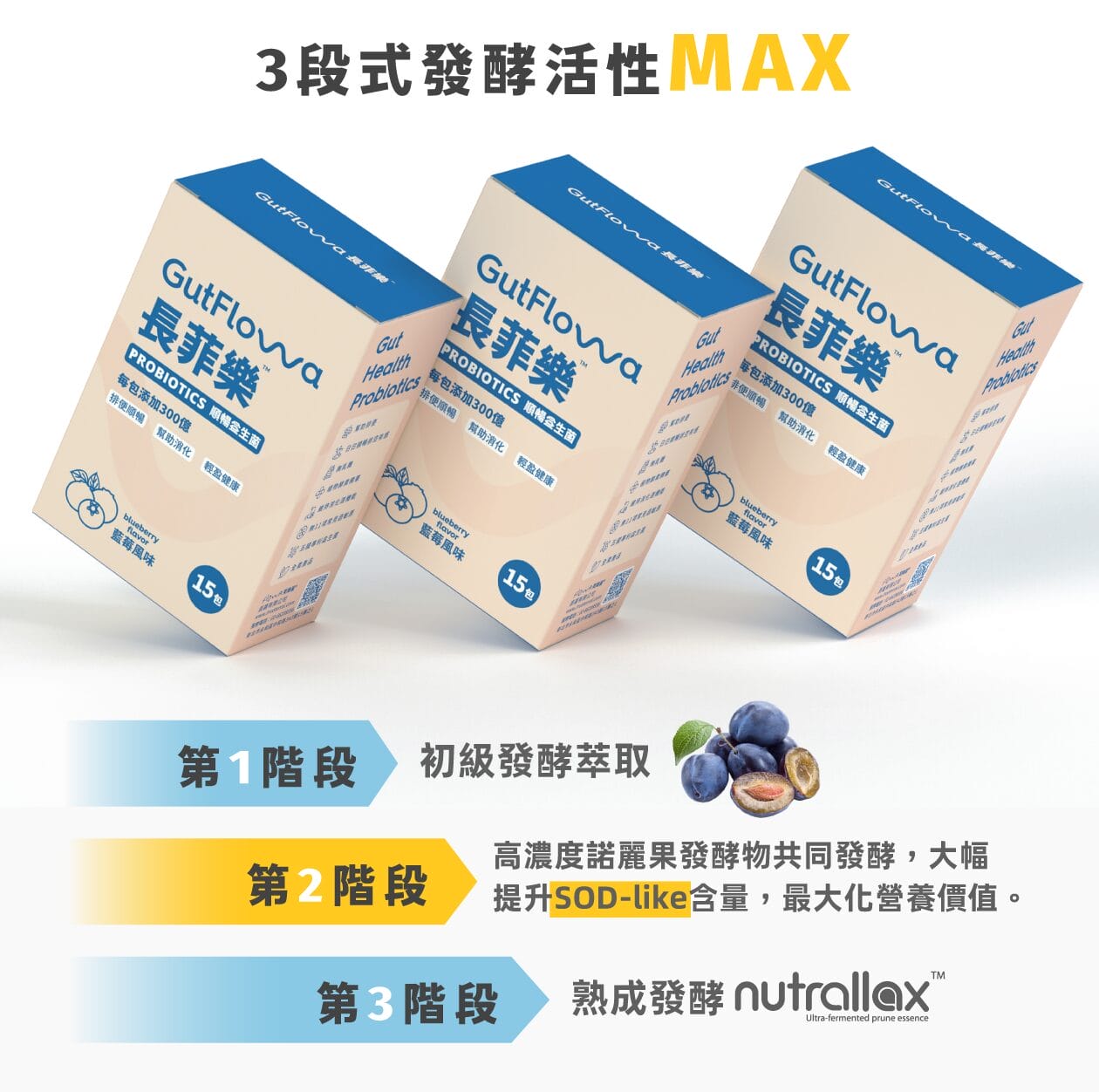 天然腸道健康解決方案