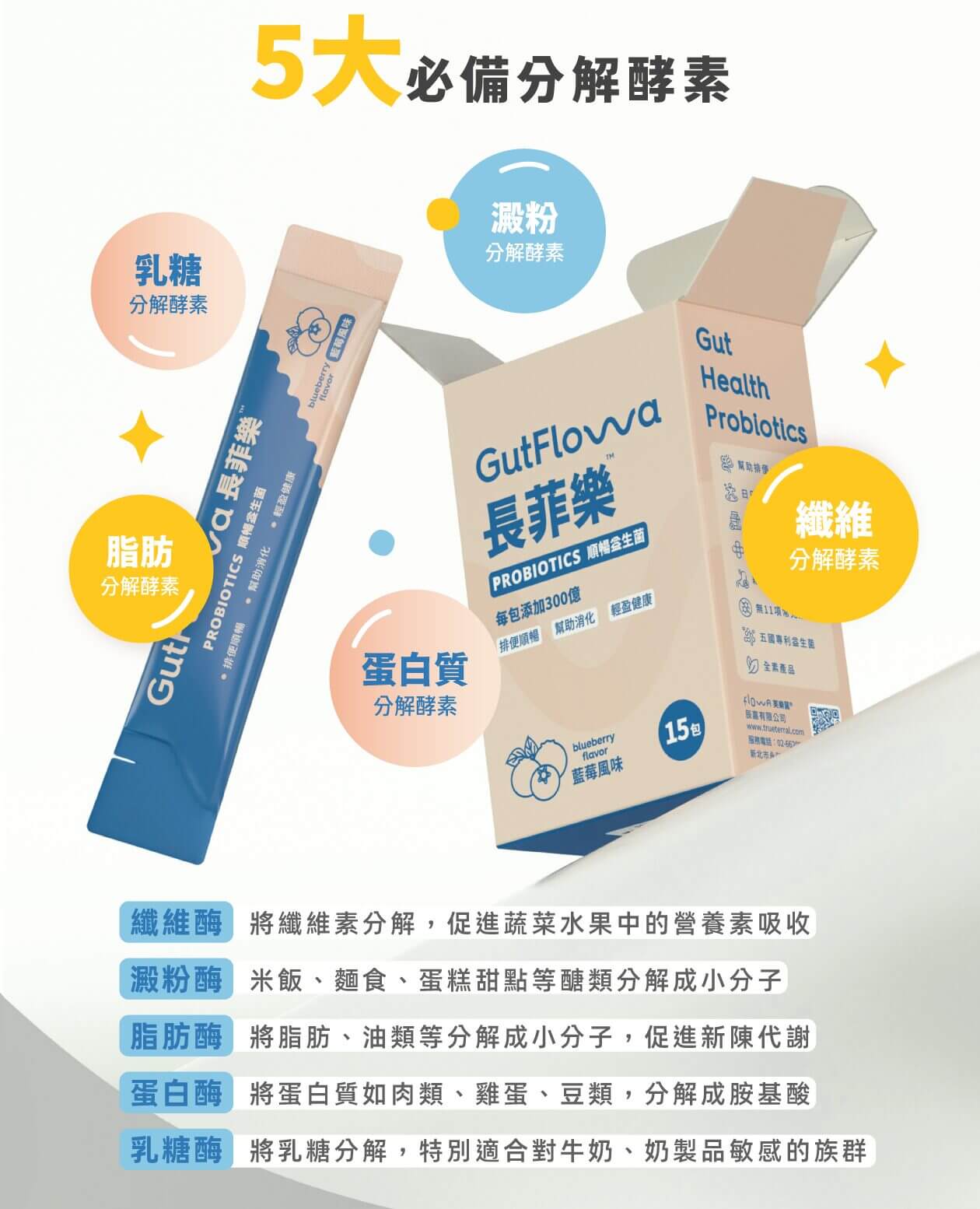 菊苣纖維餵養好菌