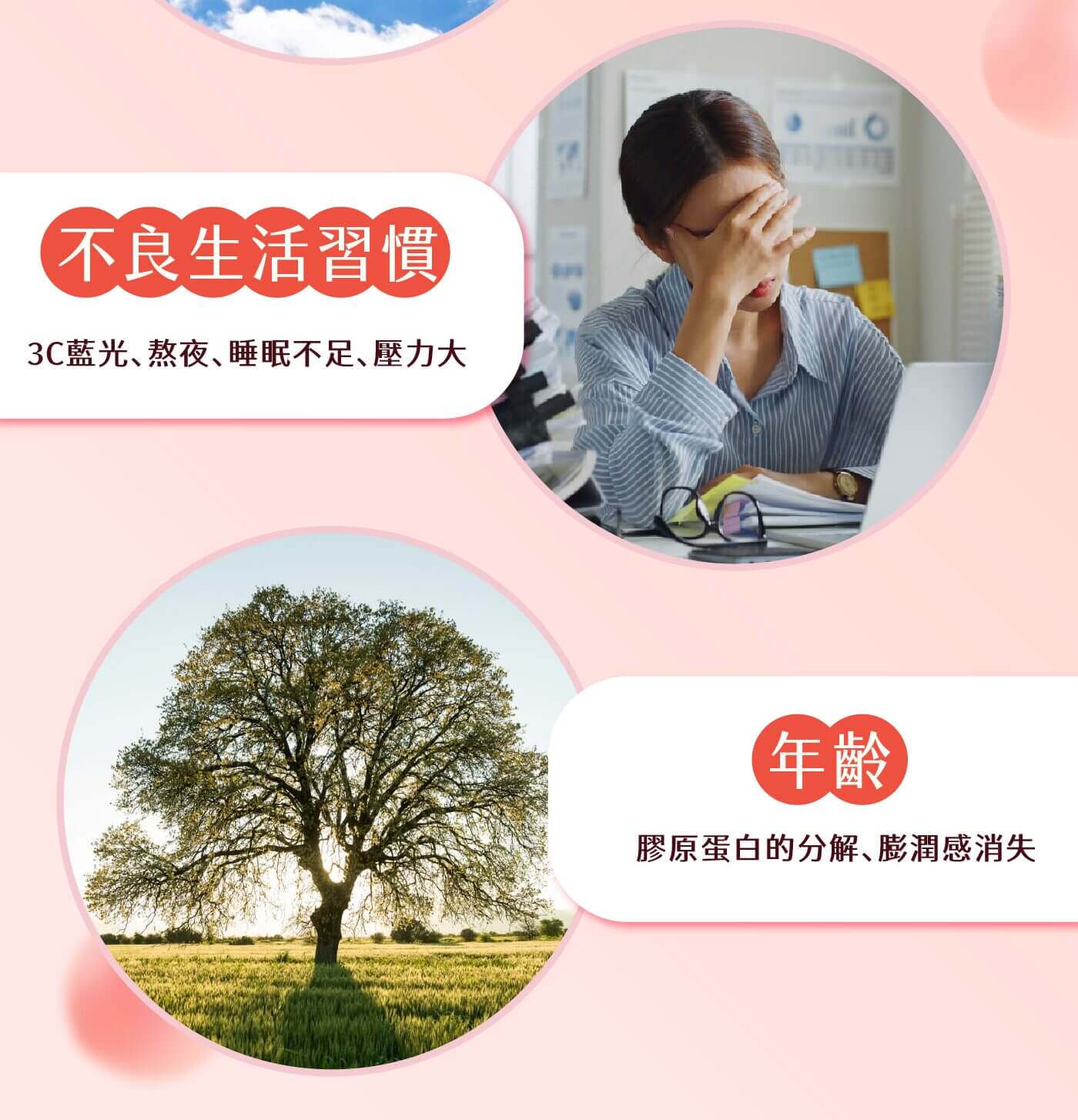 Bunica 產品細節 皮膚健康