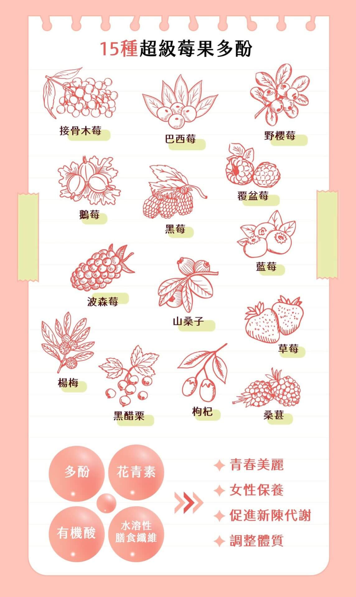 Bunica 產品功效 年輕外貌