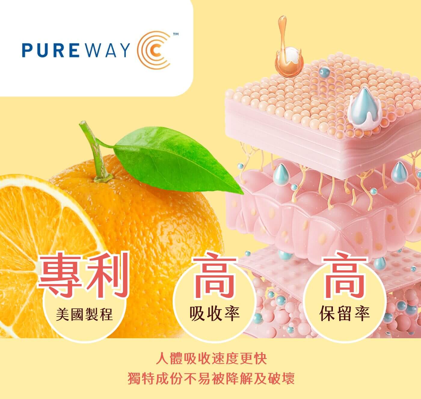 Bunica 產品效果 光亮肌膚